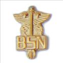 Picture of 14KY Pin Guard - BSN Caduceus 